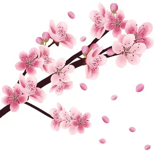 粉色桃花枝素材图片