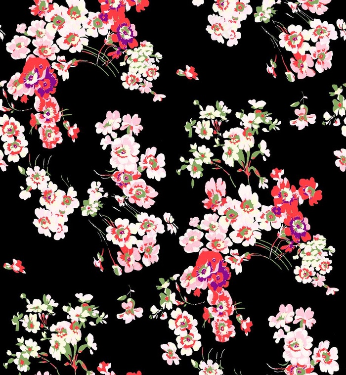 大牌花图片