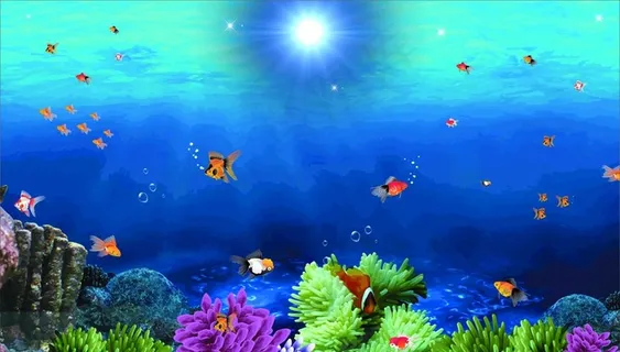 深水海洋图片 深水海洋图片
