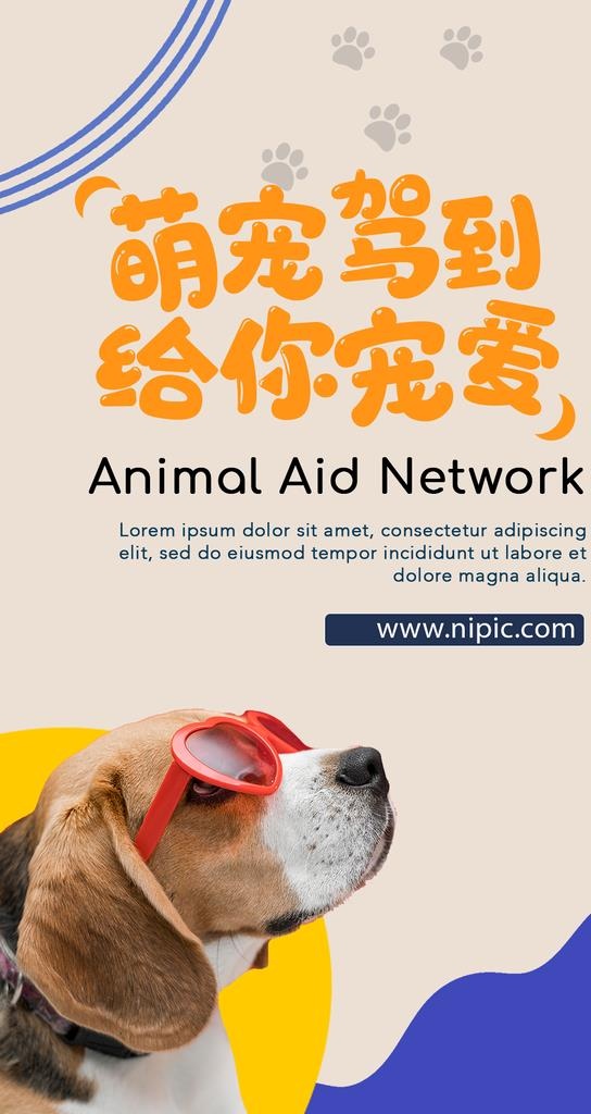 宠物海报图片