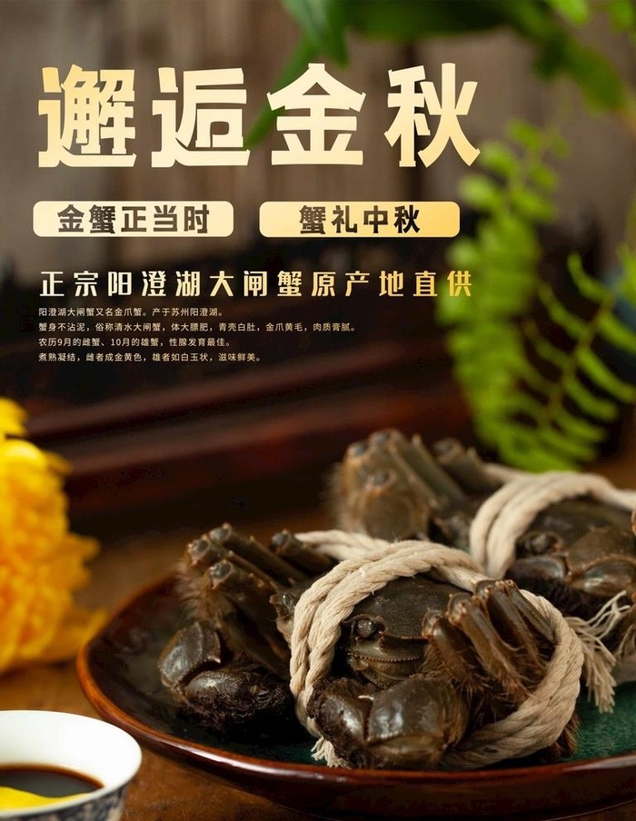 大闸蟹图片(2850x3800)psd模版下载