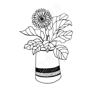 植物线稿图片
