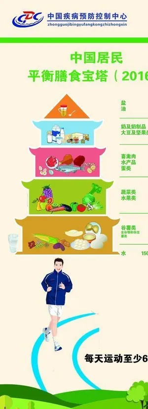 疾控中心居民膳食宝塔展架图片
