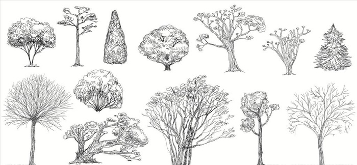 手绘线描树林矢量图下载图片