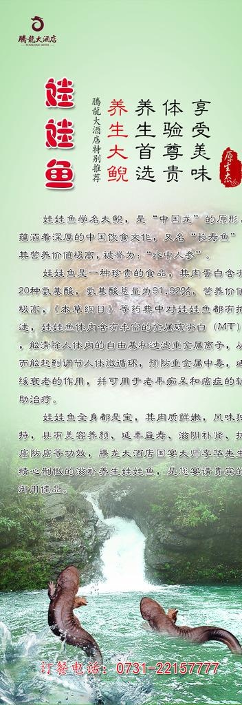 娃娃鱼展架 美食X展架图片
