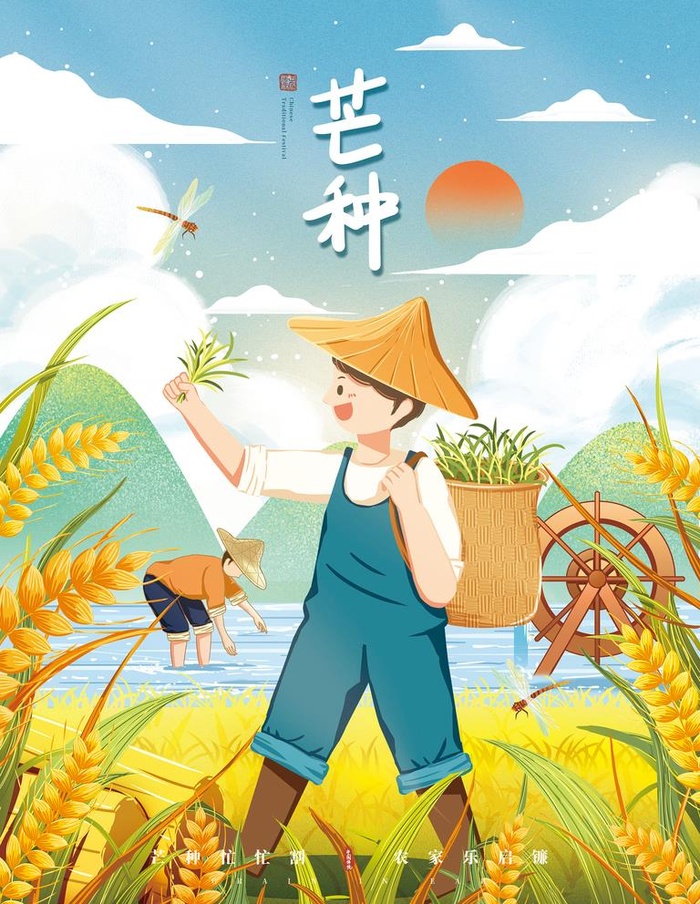 芒种插画风节日海报图片