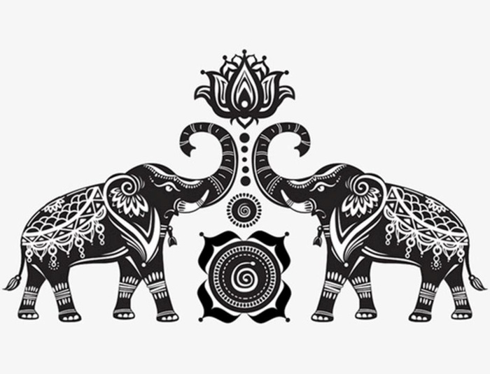 大象与荷花图片