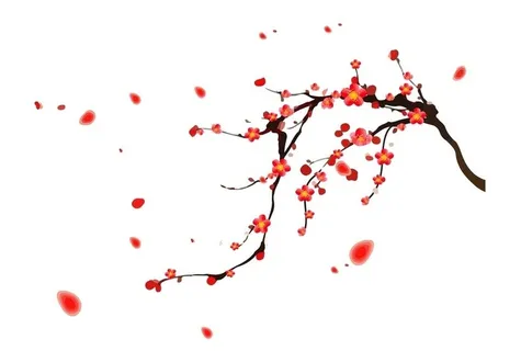 梅花图片