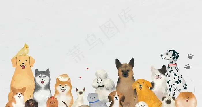 小动物图片ai矢量模版下载