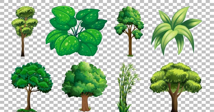 卡通树木图片