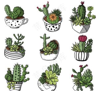 手绘多肉植物盆栽图片