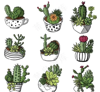 手绘多肉植物盆栽图片