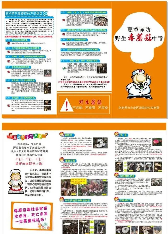 预防毒蘑菇中毒三折页图片cdr矢量模版下载