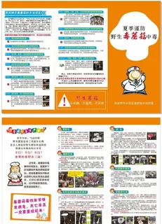 预防毒蘑菇中毒三折页图片
