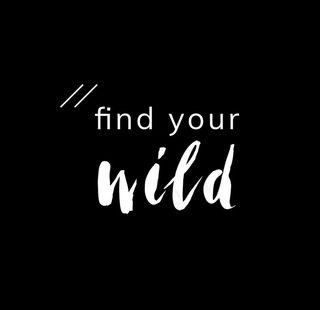 英文字母海报图片