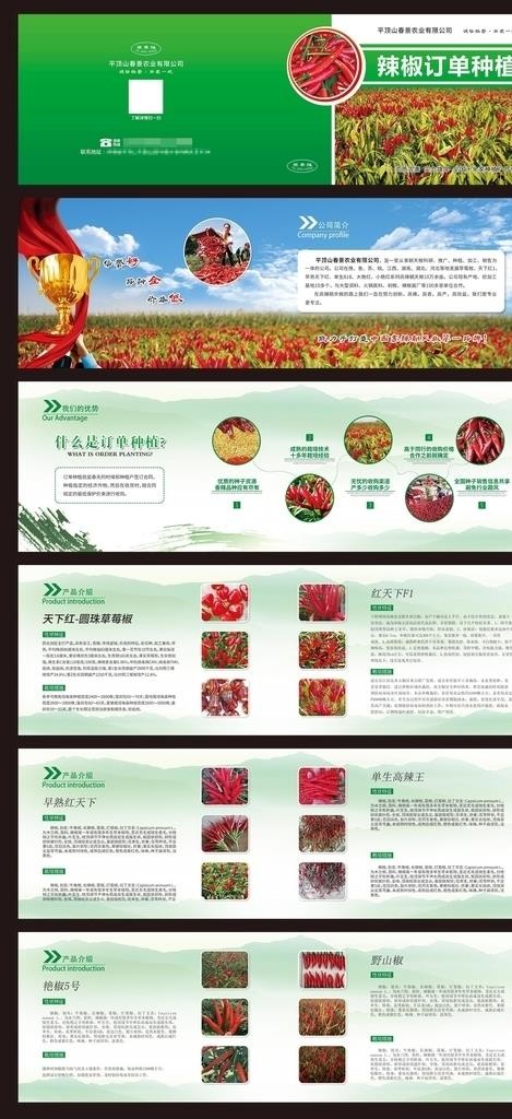 农业绿色辣椒画册种植图片(4961x1654)psd模版下载