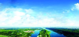 大湖湿地图片