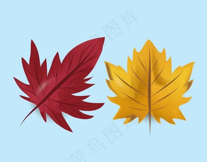 枫叶手绘图片ai矢量模版下载