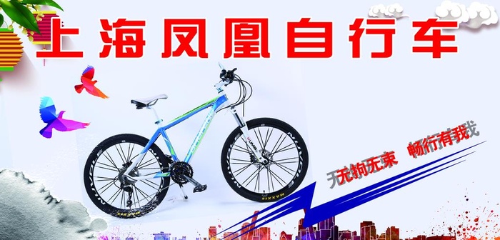 上海凤凰 自行车图片