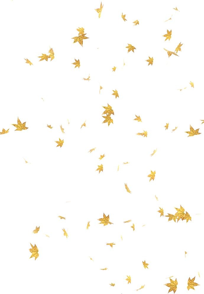 秋风扫落叶图片