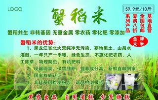 蟹稻米   稻米图片