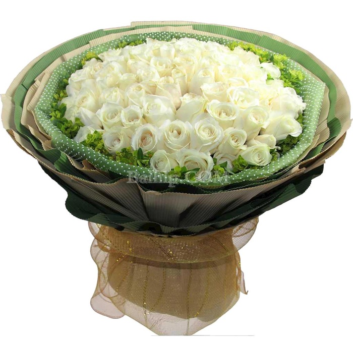 玫瑰花素材图片