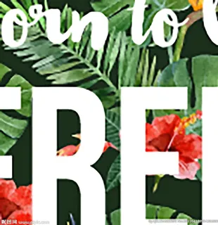 森系元素背景图片