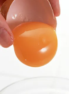 鸡蛋图片 鸡蛋图片