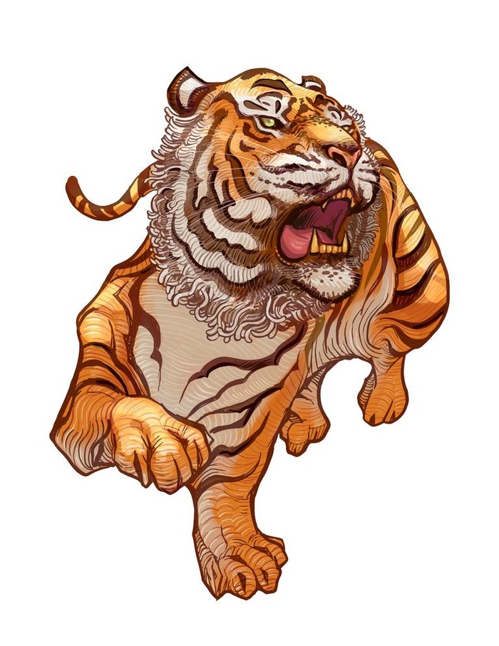 手绘老虎  虎虎生威图片