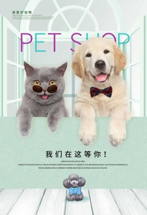 宠物店图片