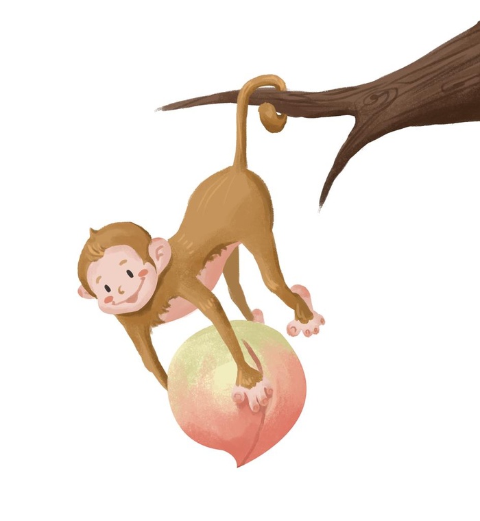 倒挂疏枝抱桃子的猴子插画图片