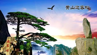 黄山 迎客松 日出 云海图片