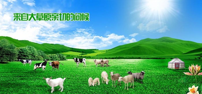绿色大草原图片(5512x2756)psd模版下载