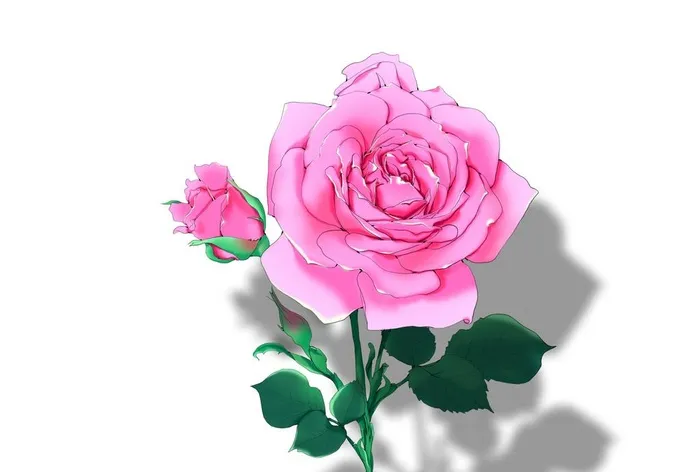 玫瑰花手绘插画图片(2480x1748)psd模版下载