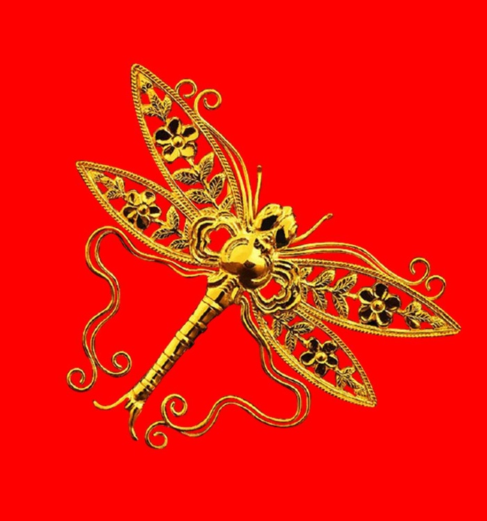 免扣金蜻蜓图片