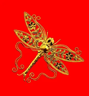 免扣金蜻蜓图片