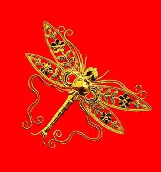 免扣金蜻蜓图片