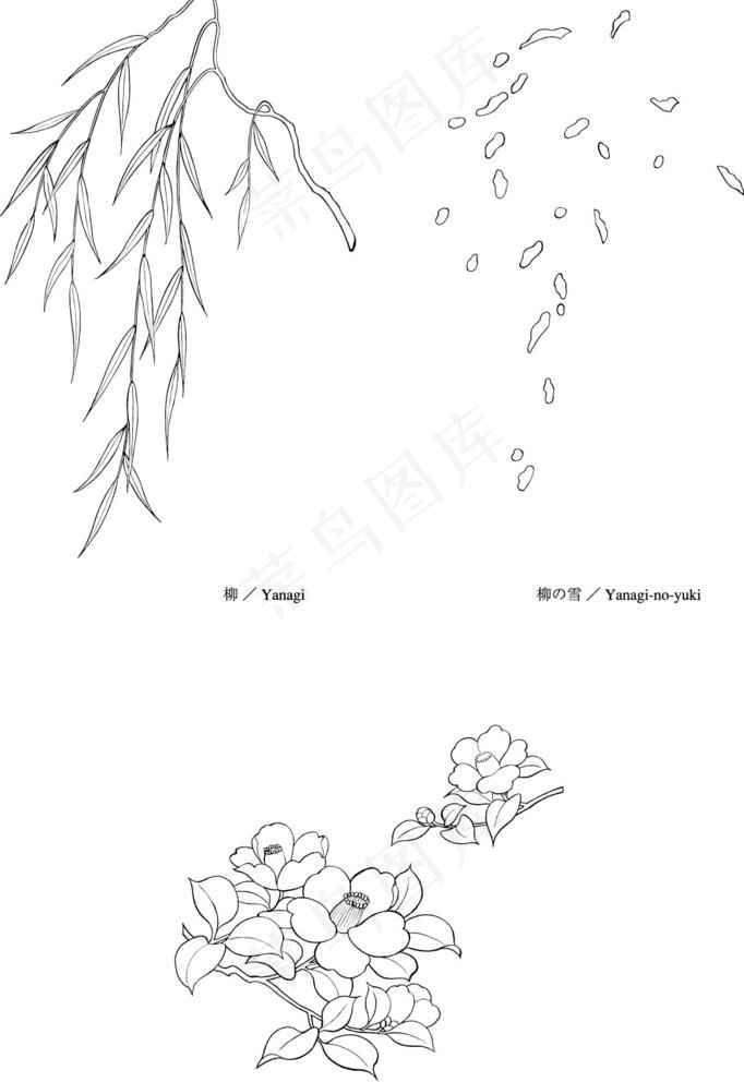 日本线描植物花卉矢量素材图片