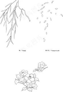 日本线描植物花卉矢量素材图片