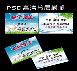 收羊名片图片