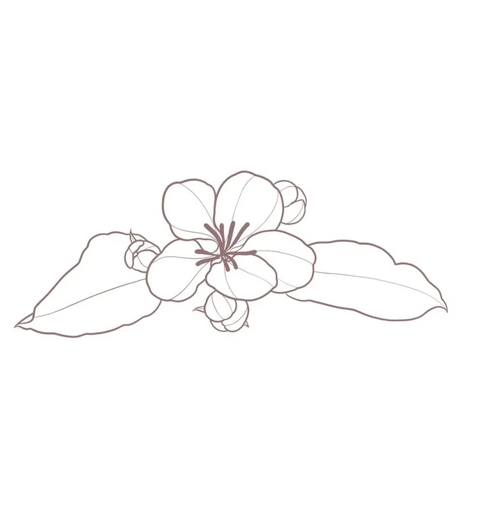 线描简约樱花图片(3200x3508)psd模版下载