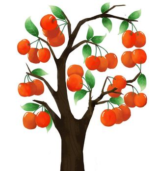 手绘樱桃树插画图片