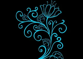 量 线条花纹图片