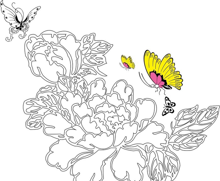 牡丹花图片ai矢量模版下载