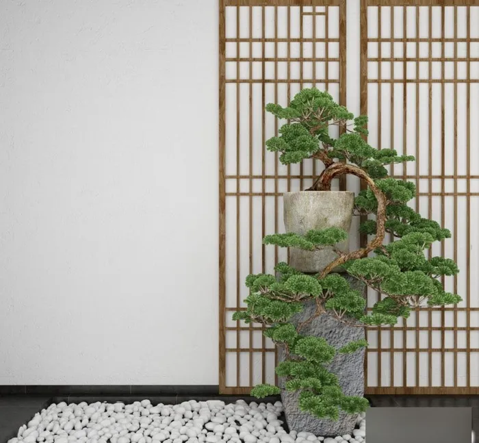 3DMAX中式盆栽松树盆景图片