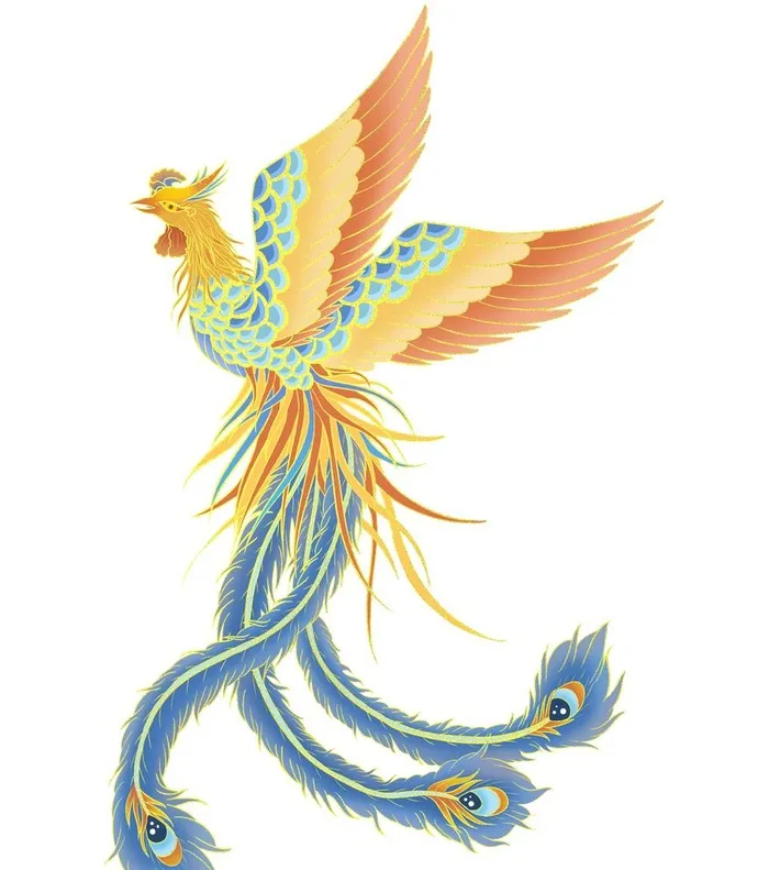 凤凰图片(3000x3500)psd模版下载