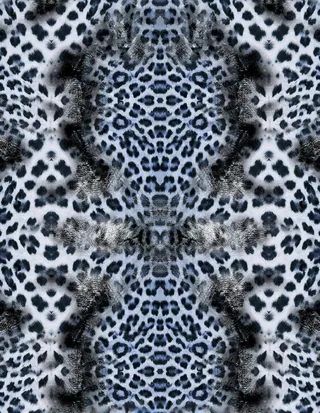 豹纹虎纹四方连续印花图案（合）图片