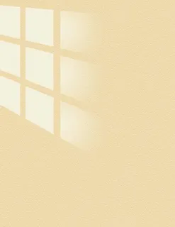 高级磨砂质感背景窗户光影影子图片