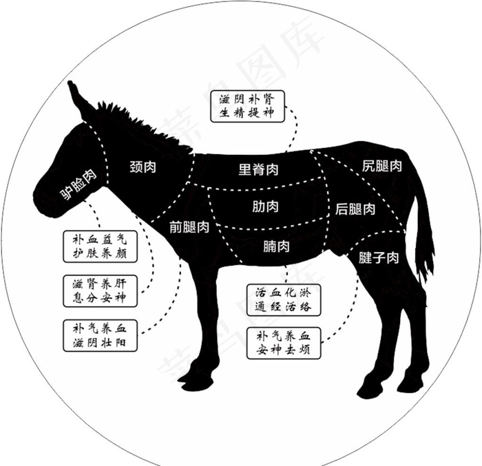 驴肉分割图图片cdr矢量模版下载