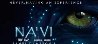 阿凡达2 饭制海报图片